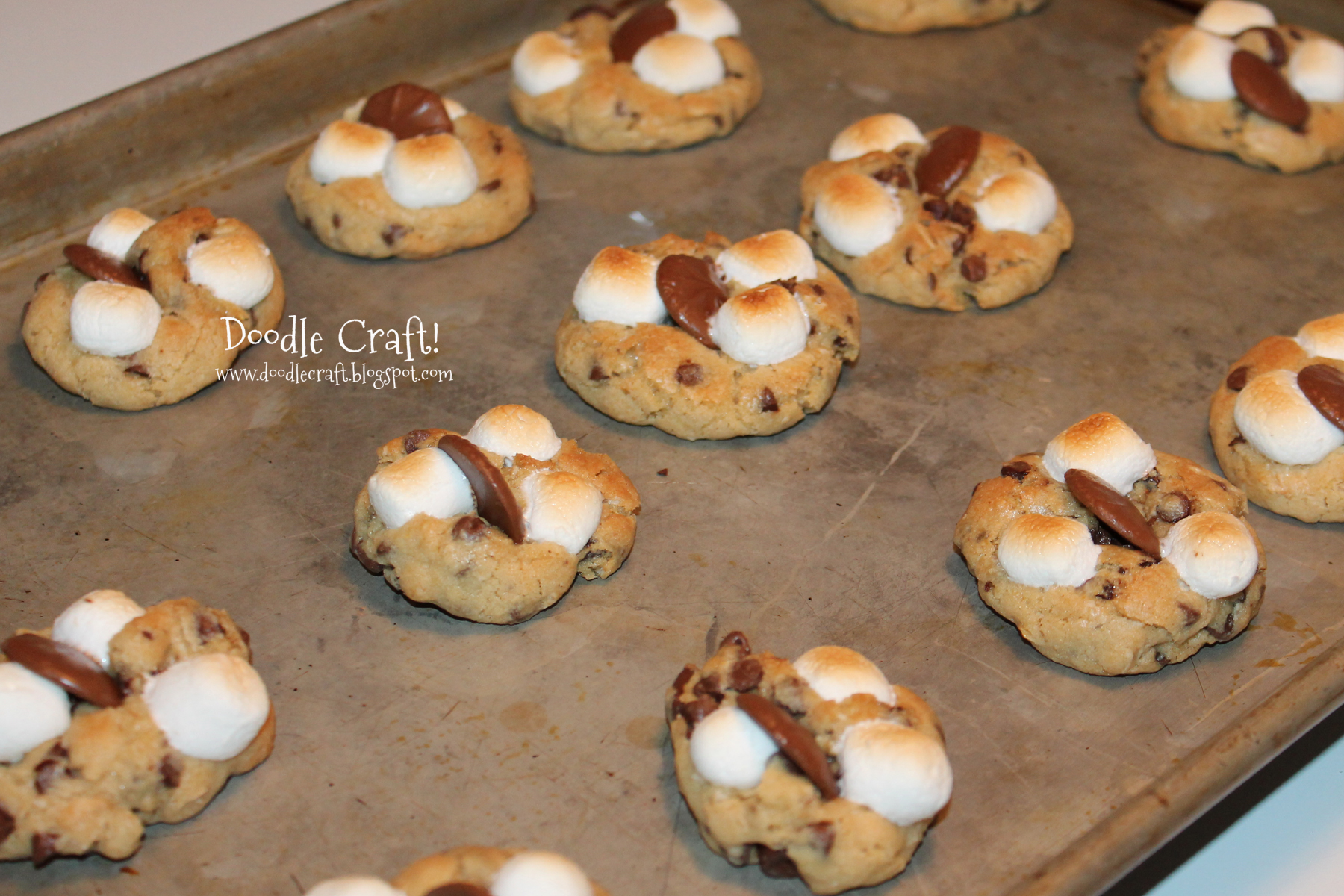 smores smor's cookies toasted marshmallow marshmello and chocolate.jpg