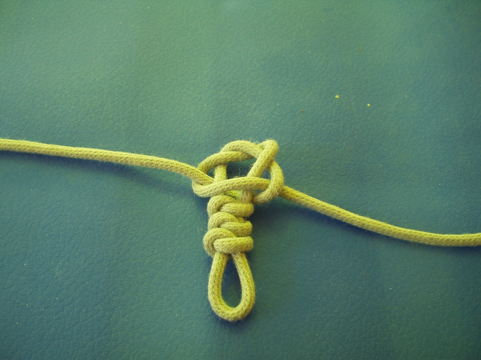 snake knot 011.JPG