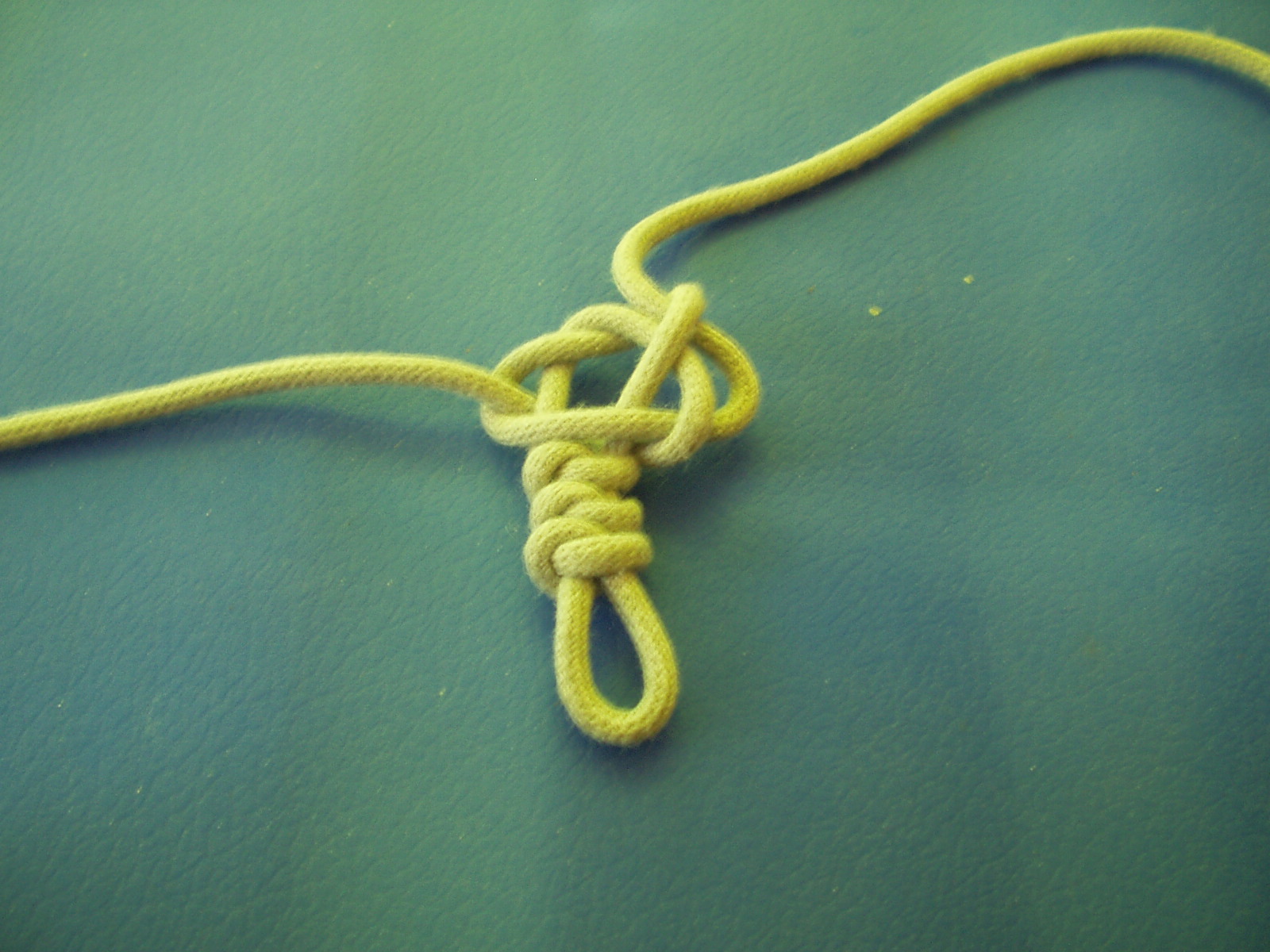 snake knot 012.JPG