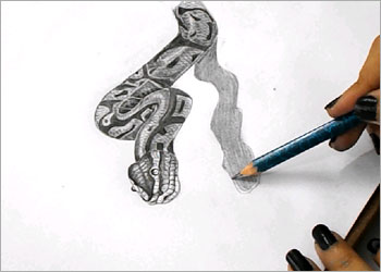 snake-7.jpg
