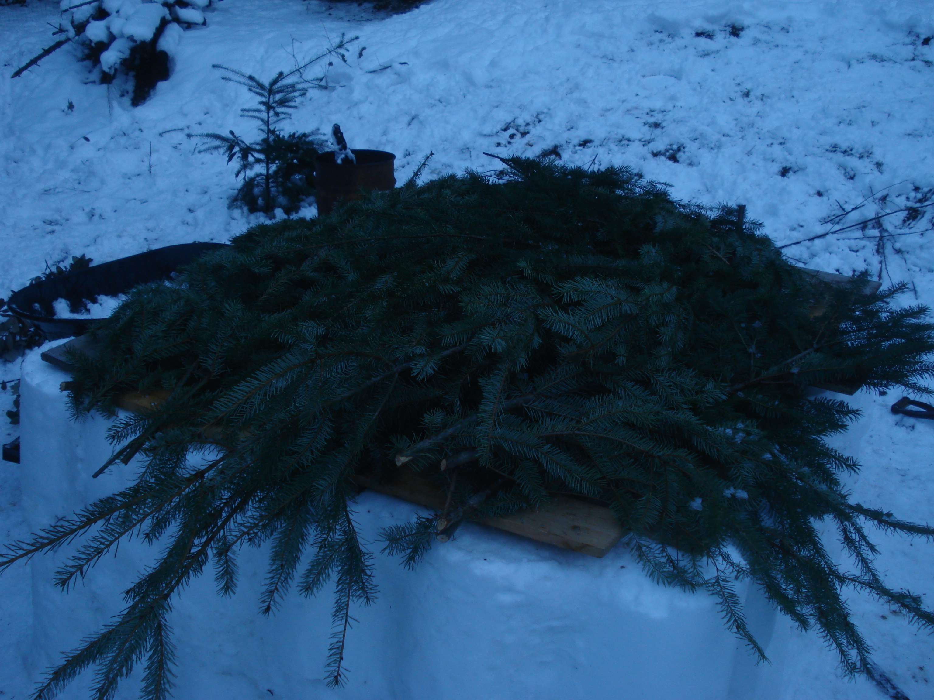 sno fort 076.jpg