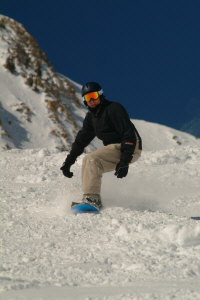 snowbird.jpg