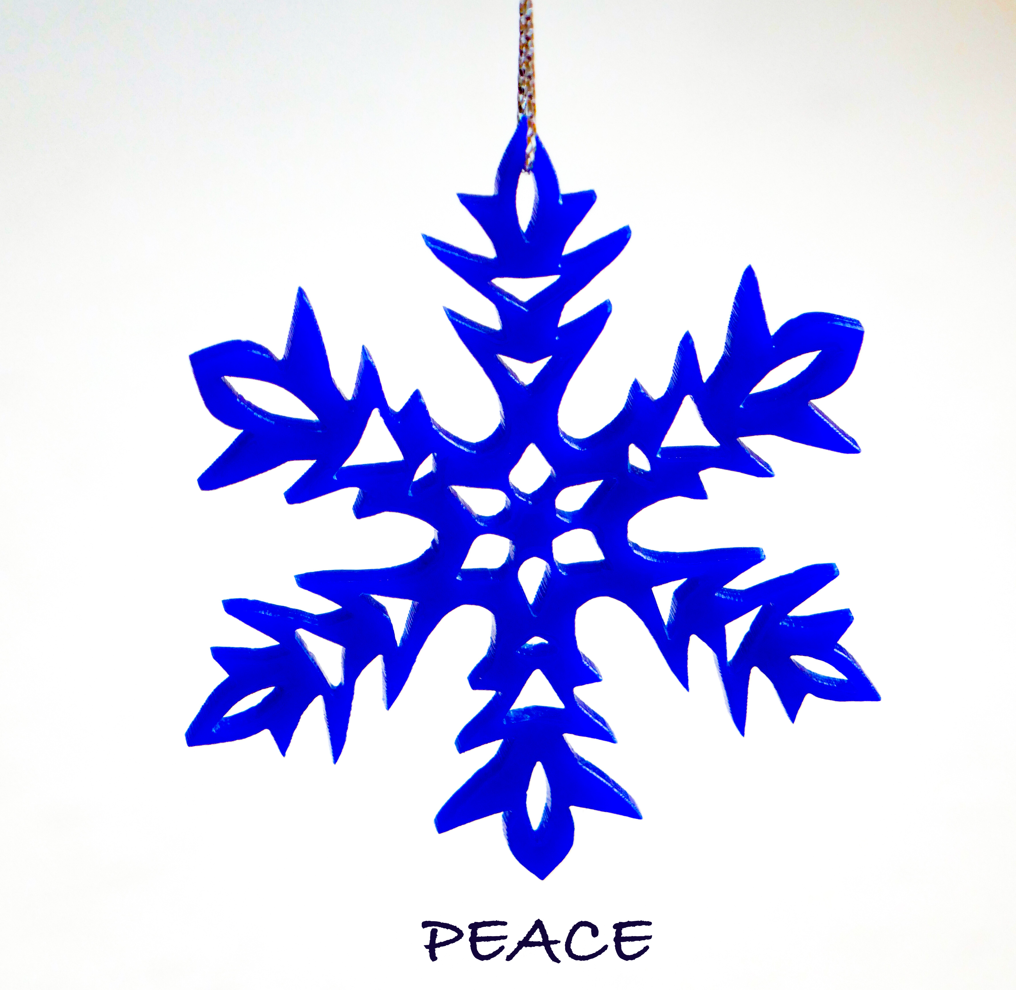 snowflake with text.jpg