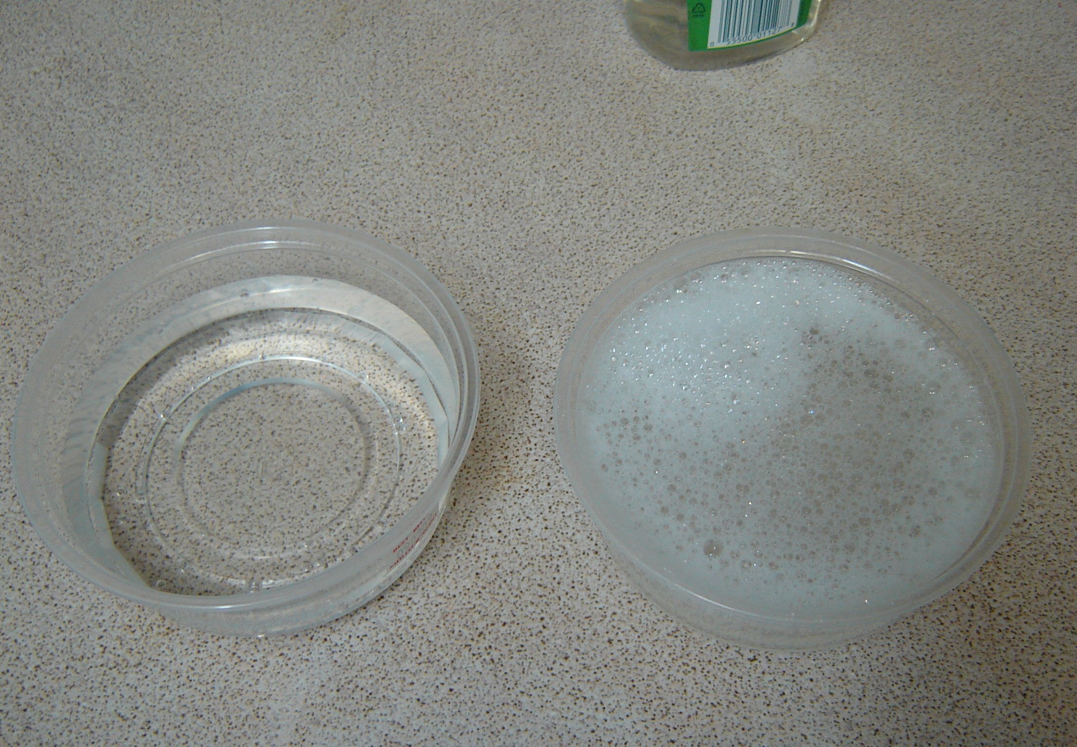 soapandrinse.jpg