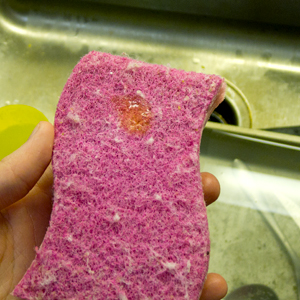 soaponsponge.jpg