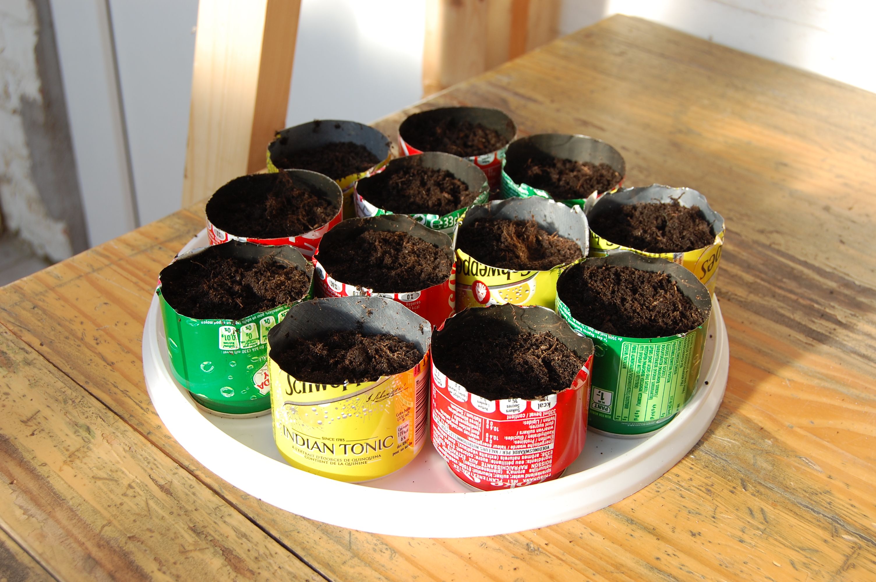 soda can seedling container 04.jpg