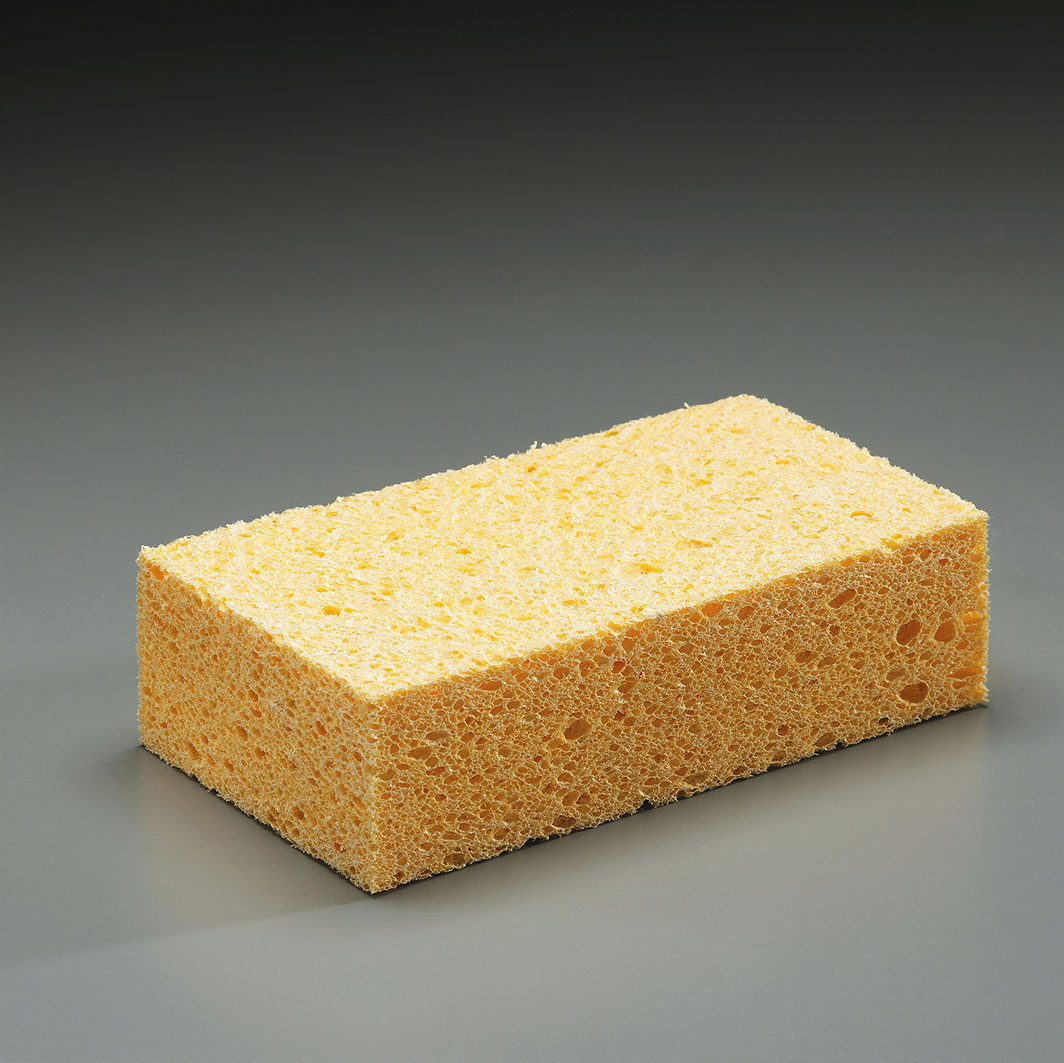 sponge.jpg