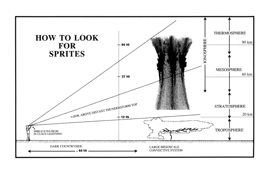 spr-look.jpg