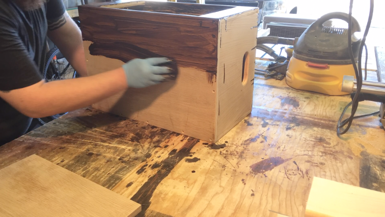 staining case.png