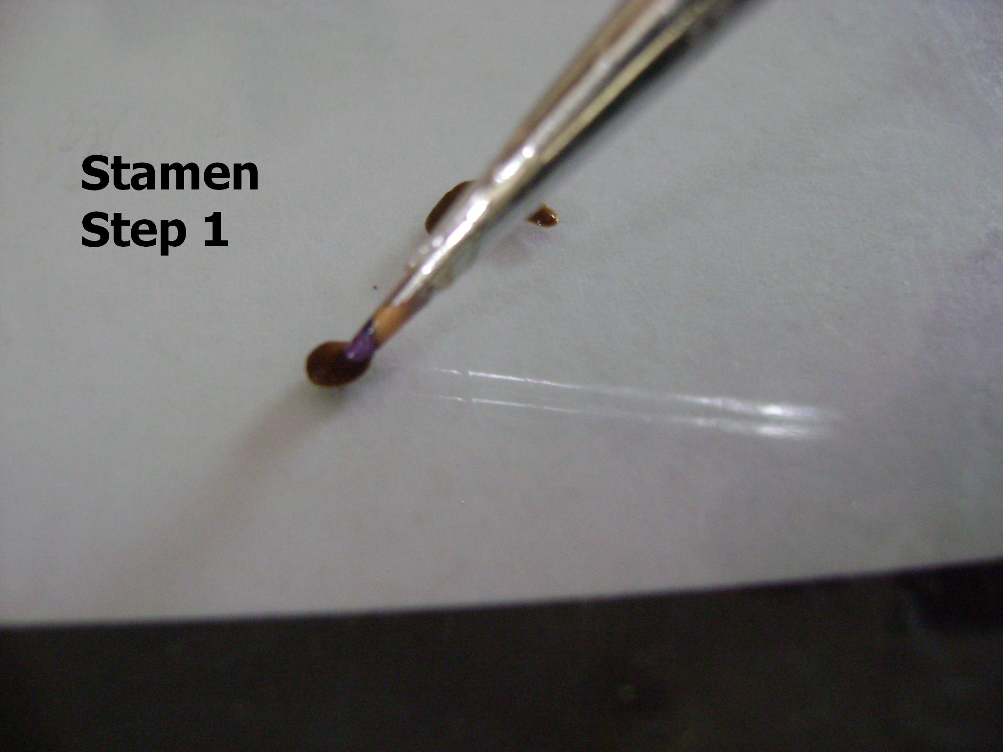 stamen 1.JPG