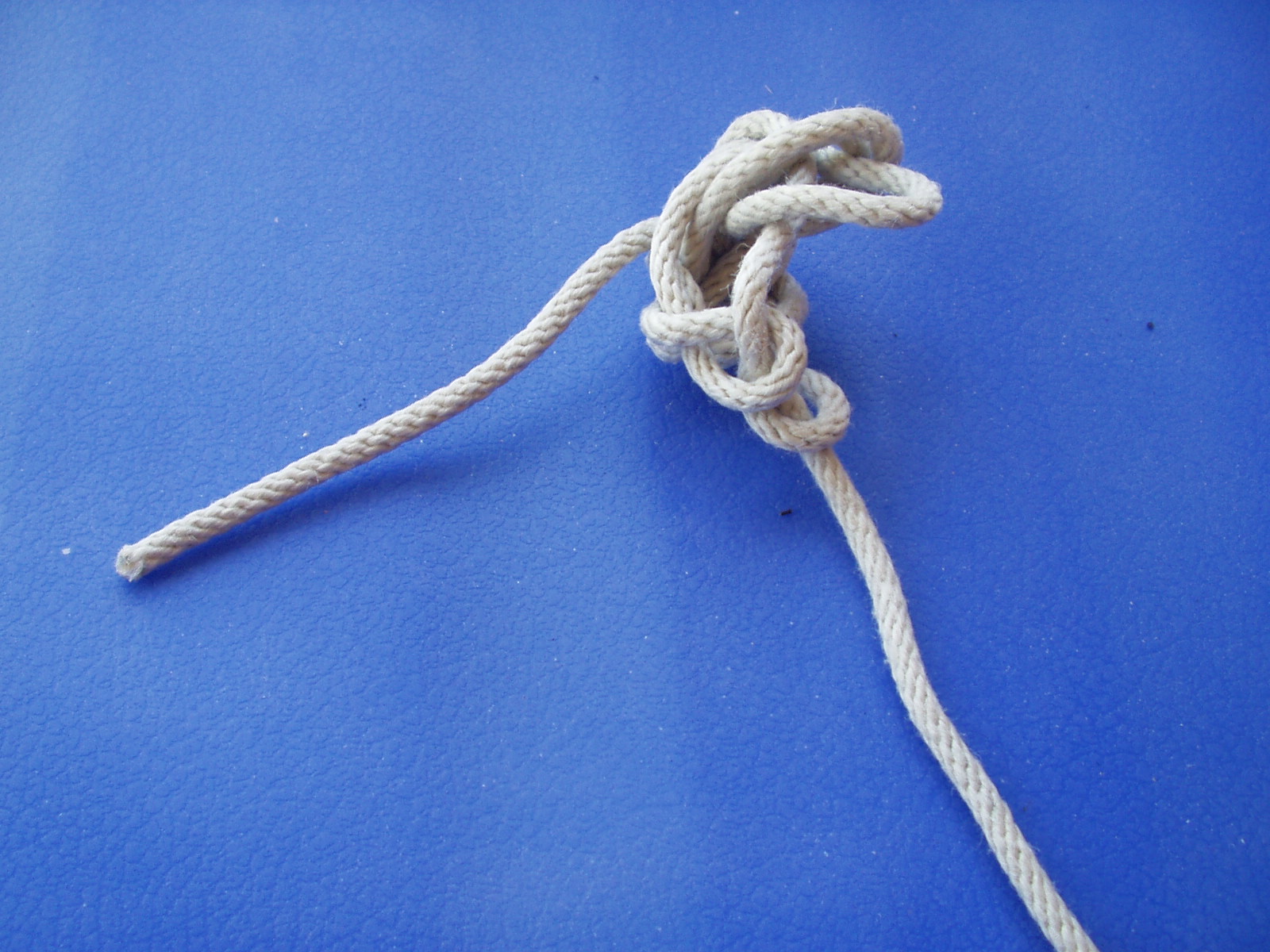 star knot a 006.JPG