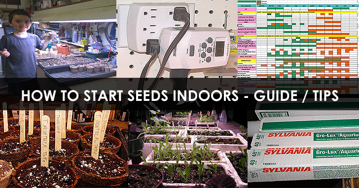 starting-seeds-indoors-guide.jpg