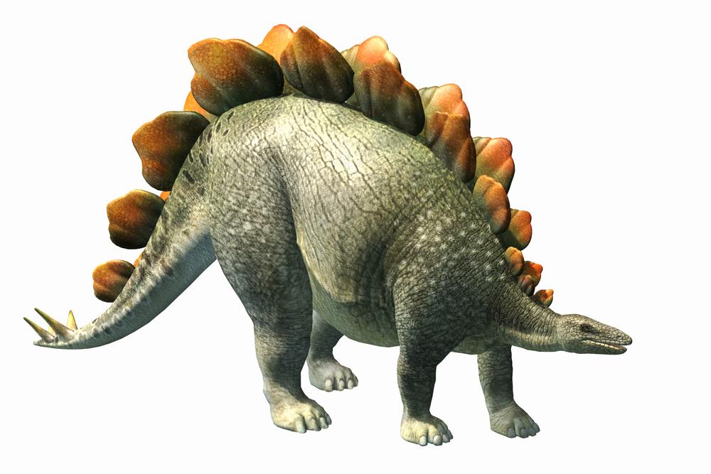 stegosaurus.jpg