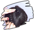 step-4.png