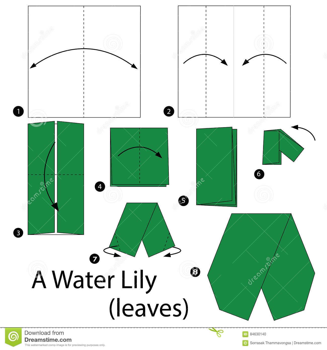step-step-instructions-how-to-make-origami-water-lily-toy-cartoon-cute-paper-steps-84630140.jpg