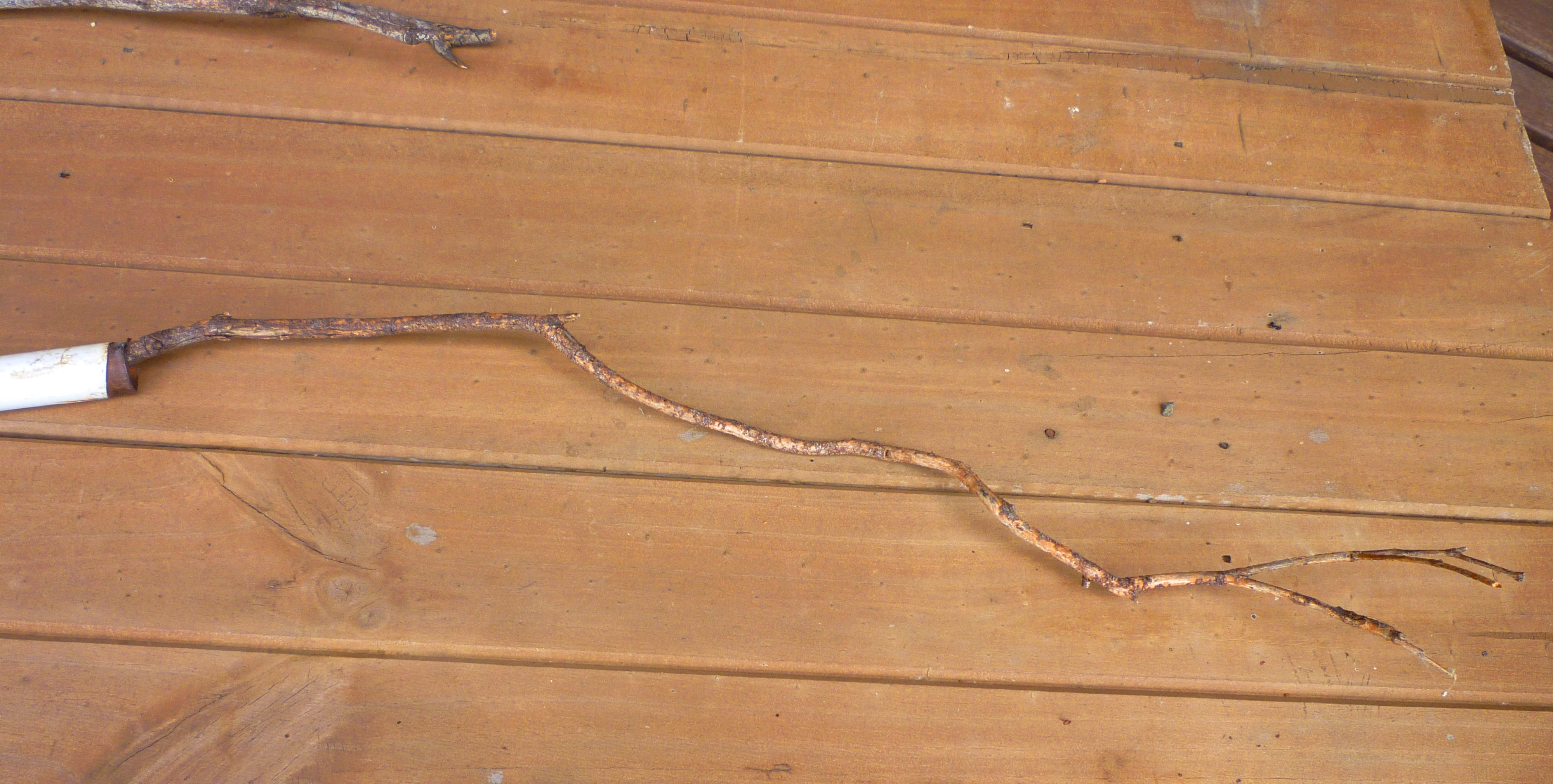 stick your stick into your handle.jpg