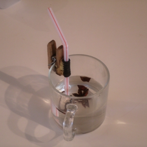 straw holder.jpg