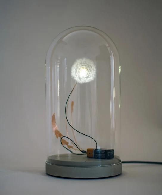 studio_drift_dandelight_met_stolp_en_snoer.jpg