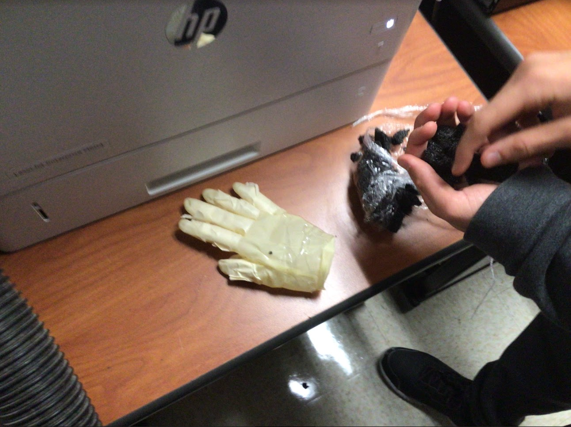 styrofoam.PNG