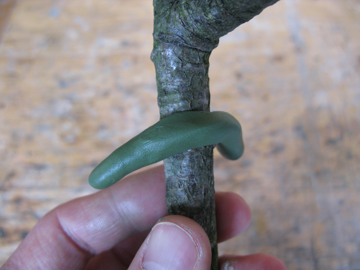 sugru on twig.JPG