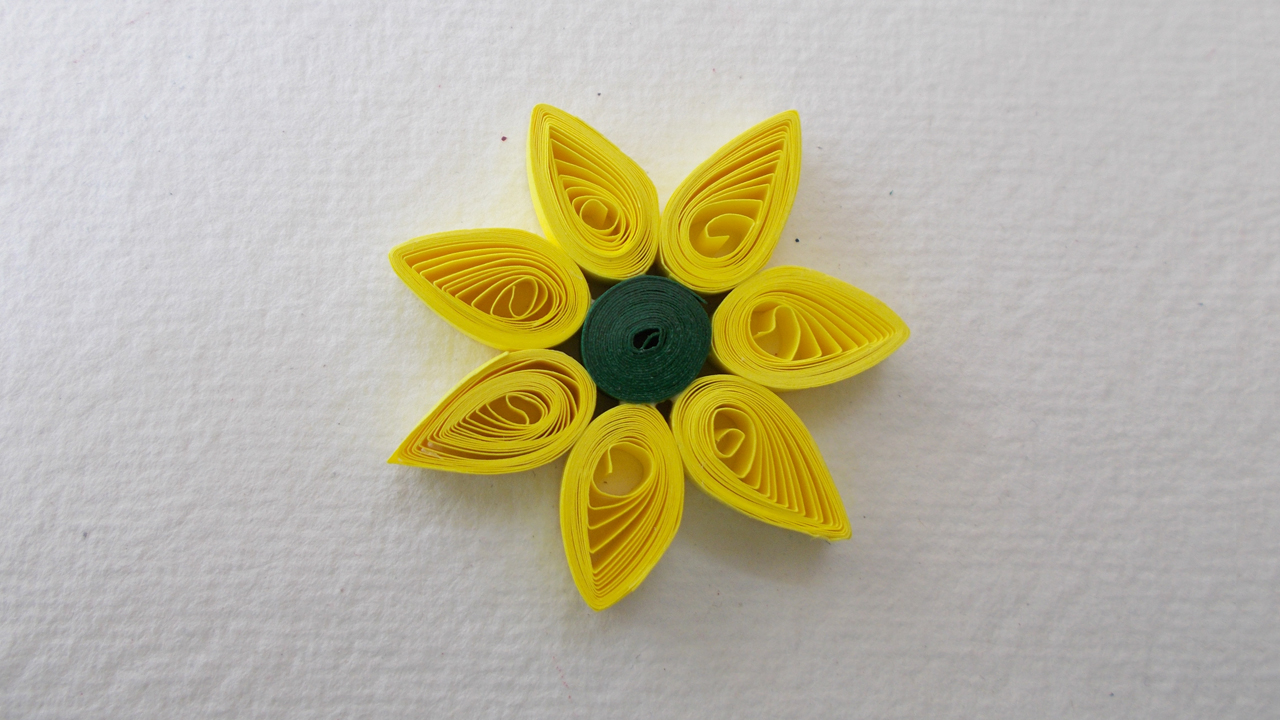 sunflower.jpg