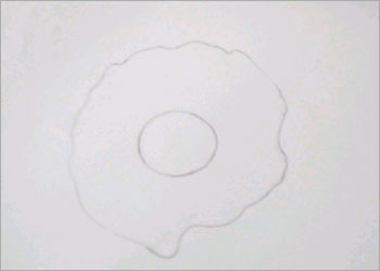 suny-side-up-egg-2.jpg