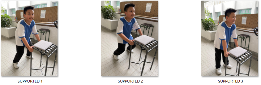 supported squat.png