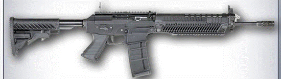 swat556.gif