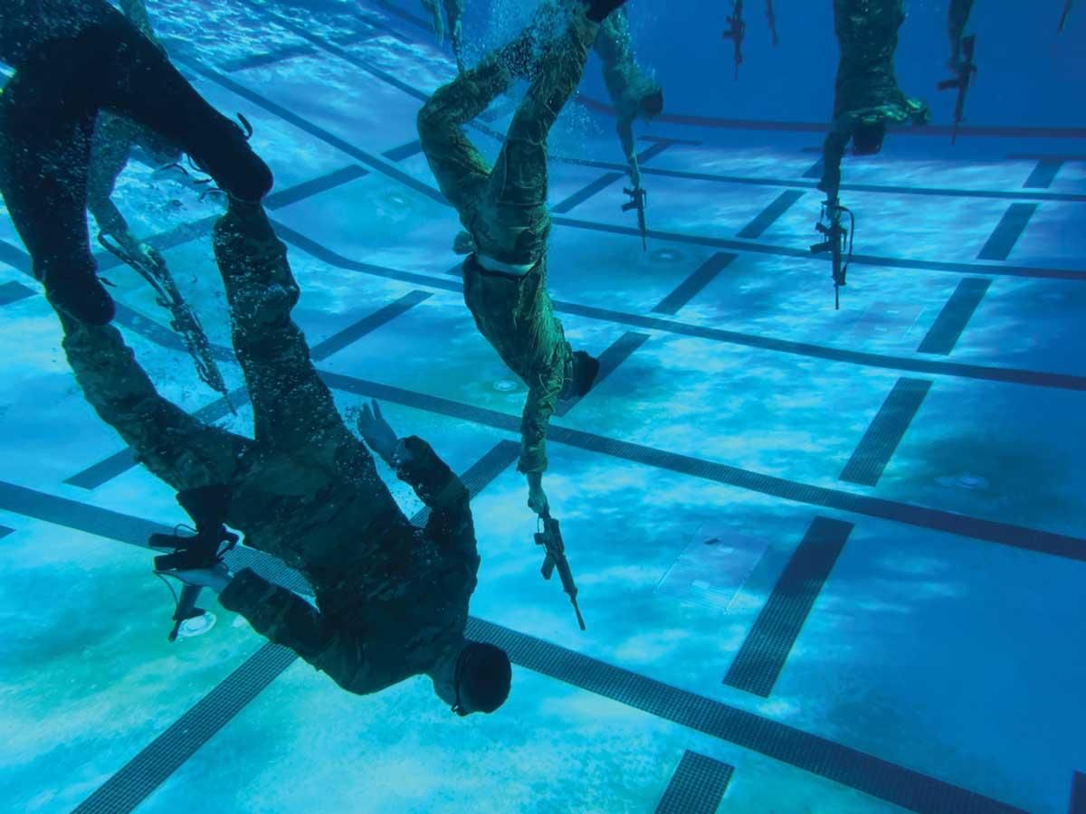 swimmers.jpg