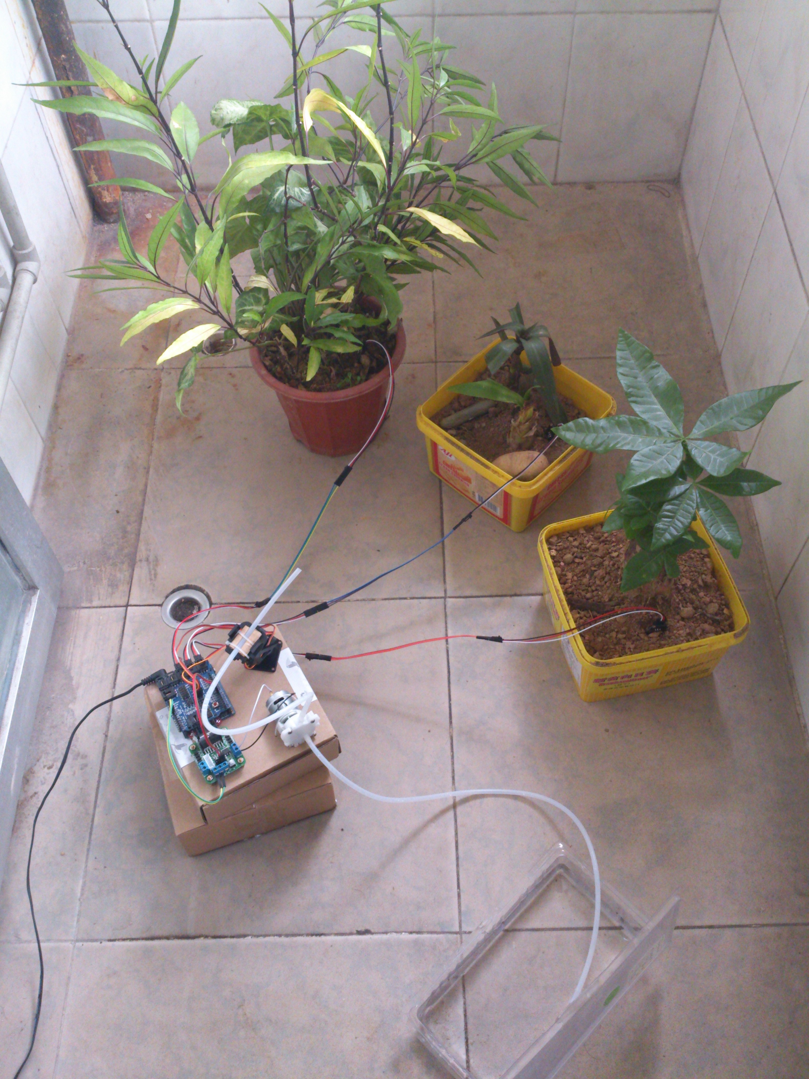 sys2.jpg