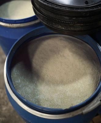 tallow18.jpg