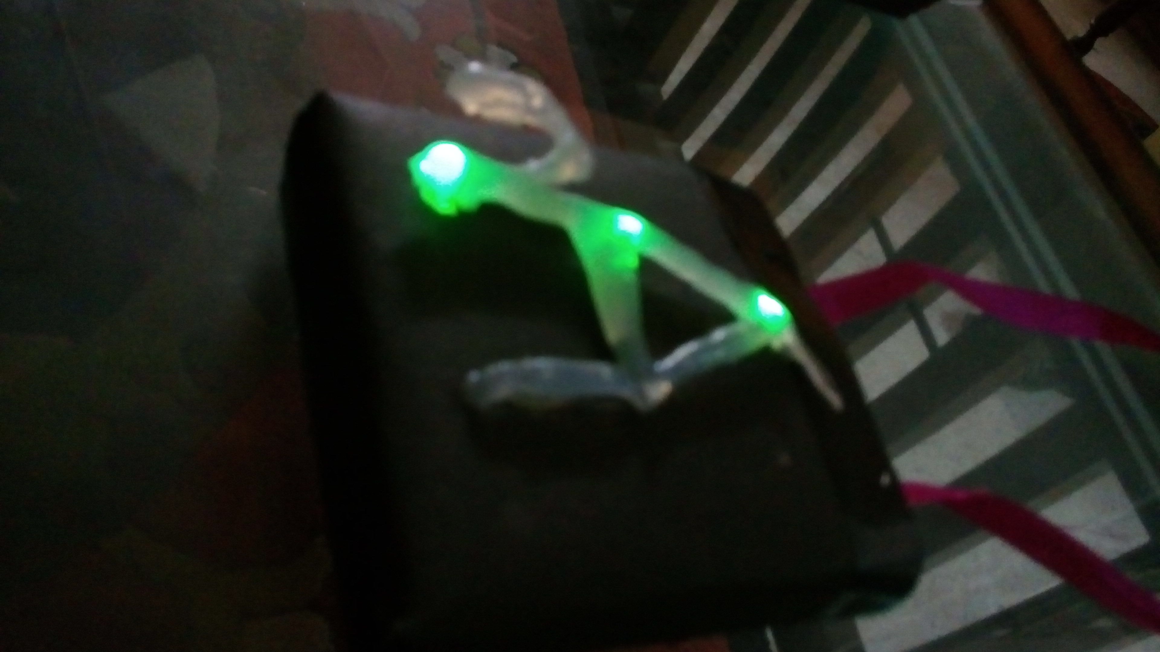 temp_-1308627143.jpg