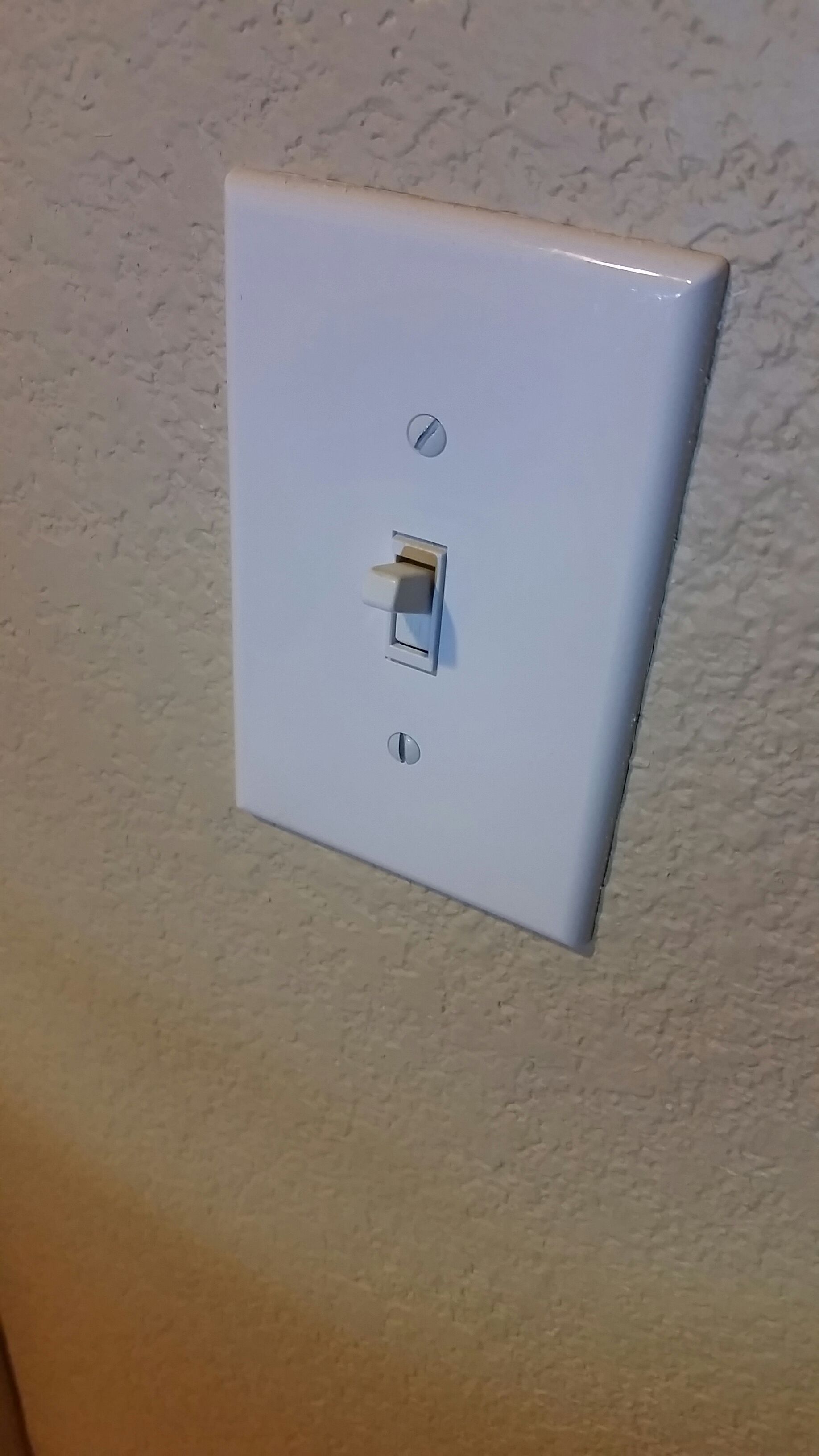 temp_-1340646820.jpg