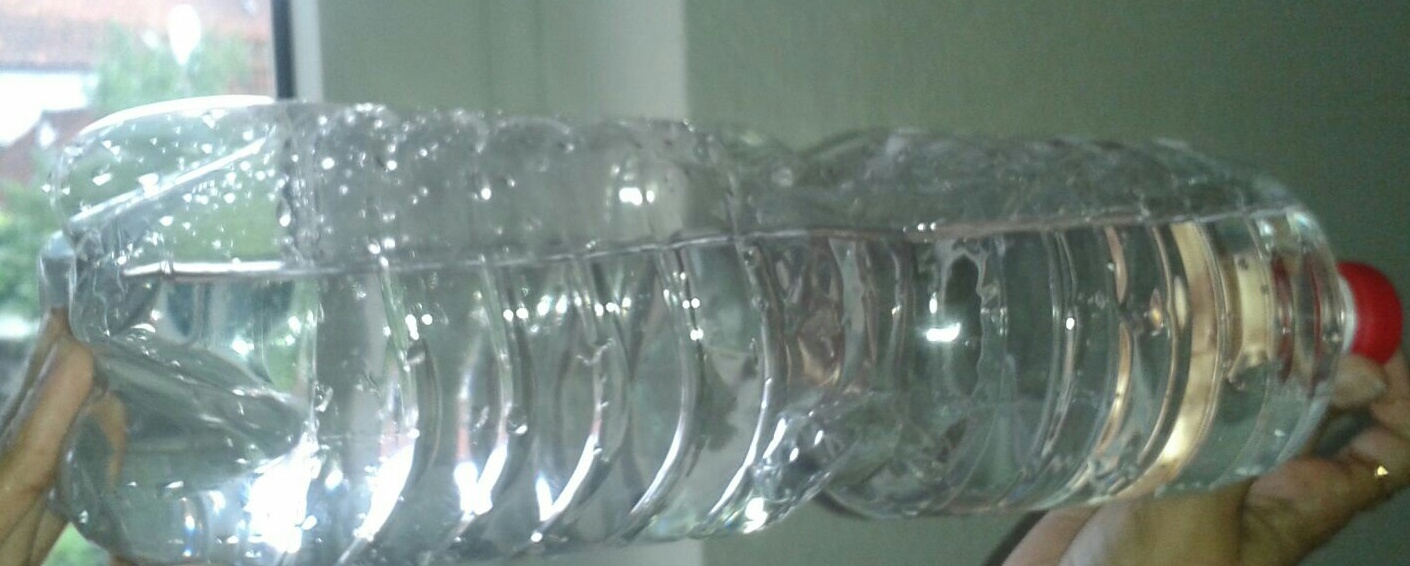 temp_-142816958.jpg