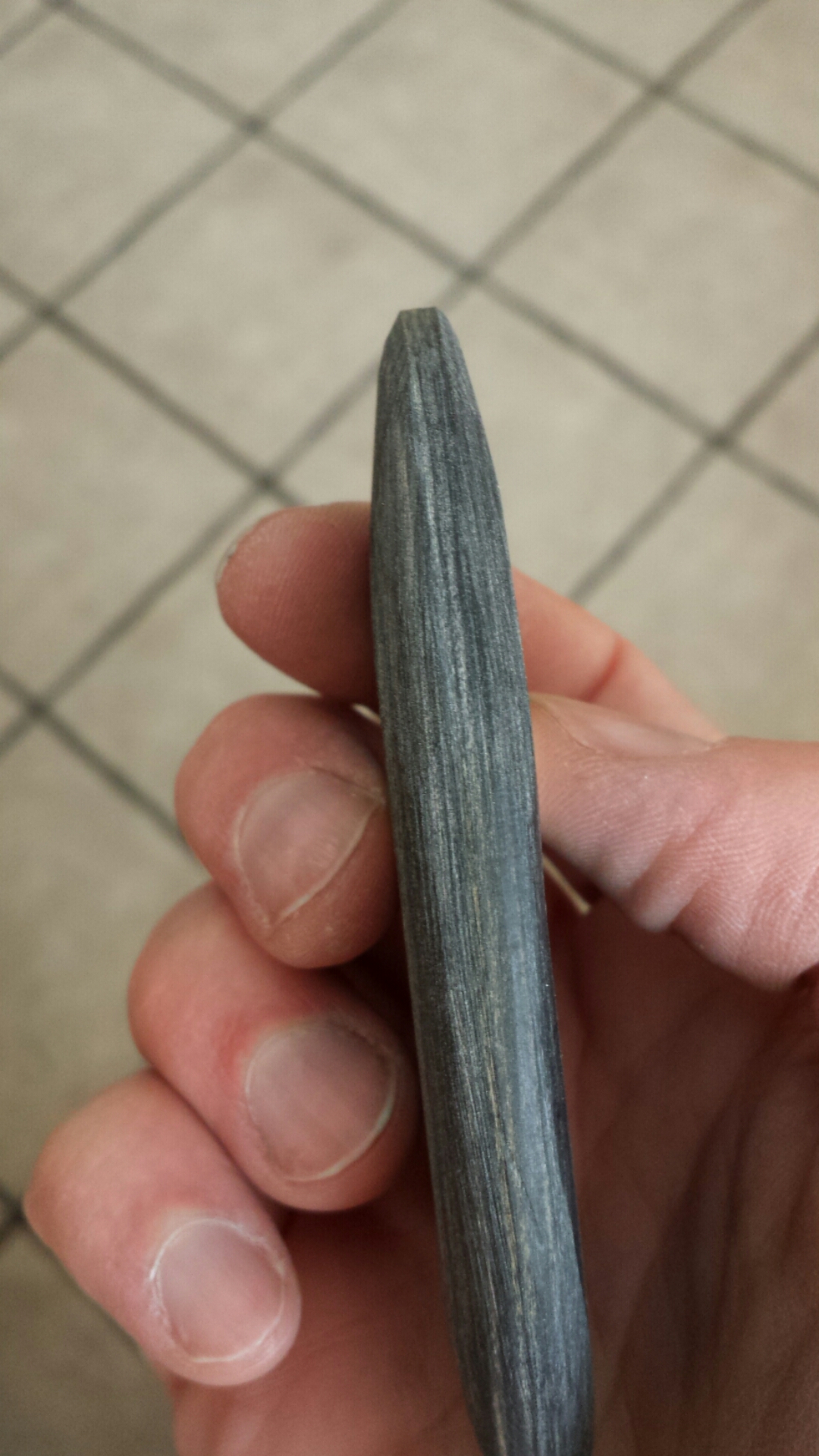 temp_-1940415088.jpg