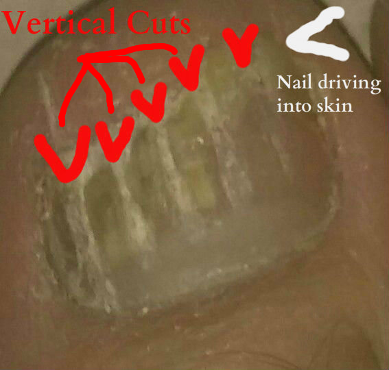 temp_-531956618.jpg