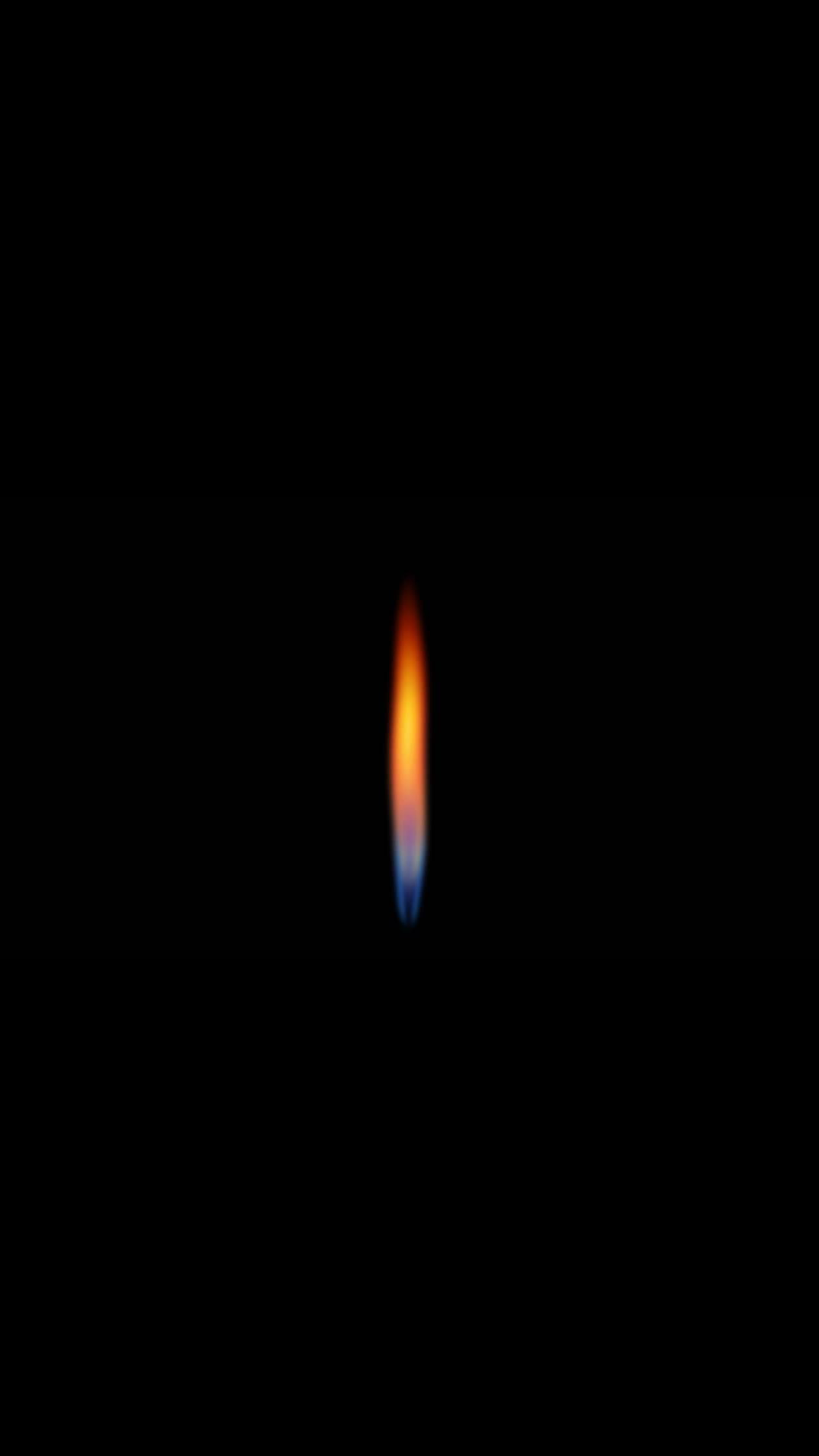 temp_-630460246.jpg
