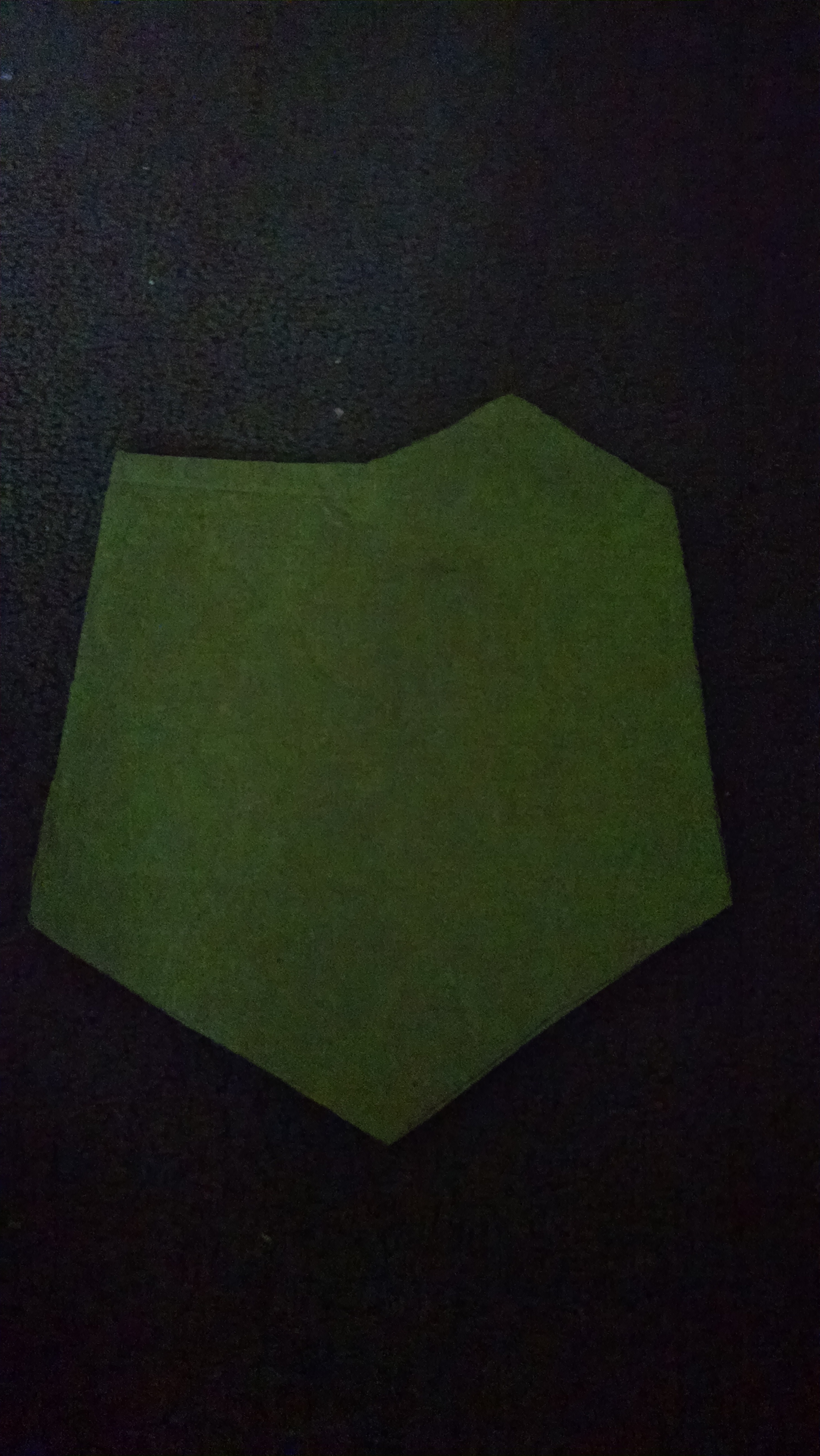temp_-94755092.jpg