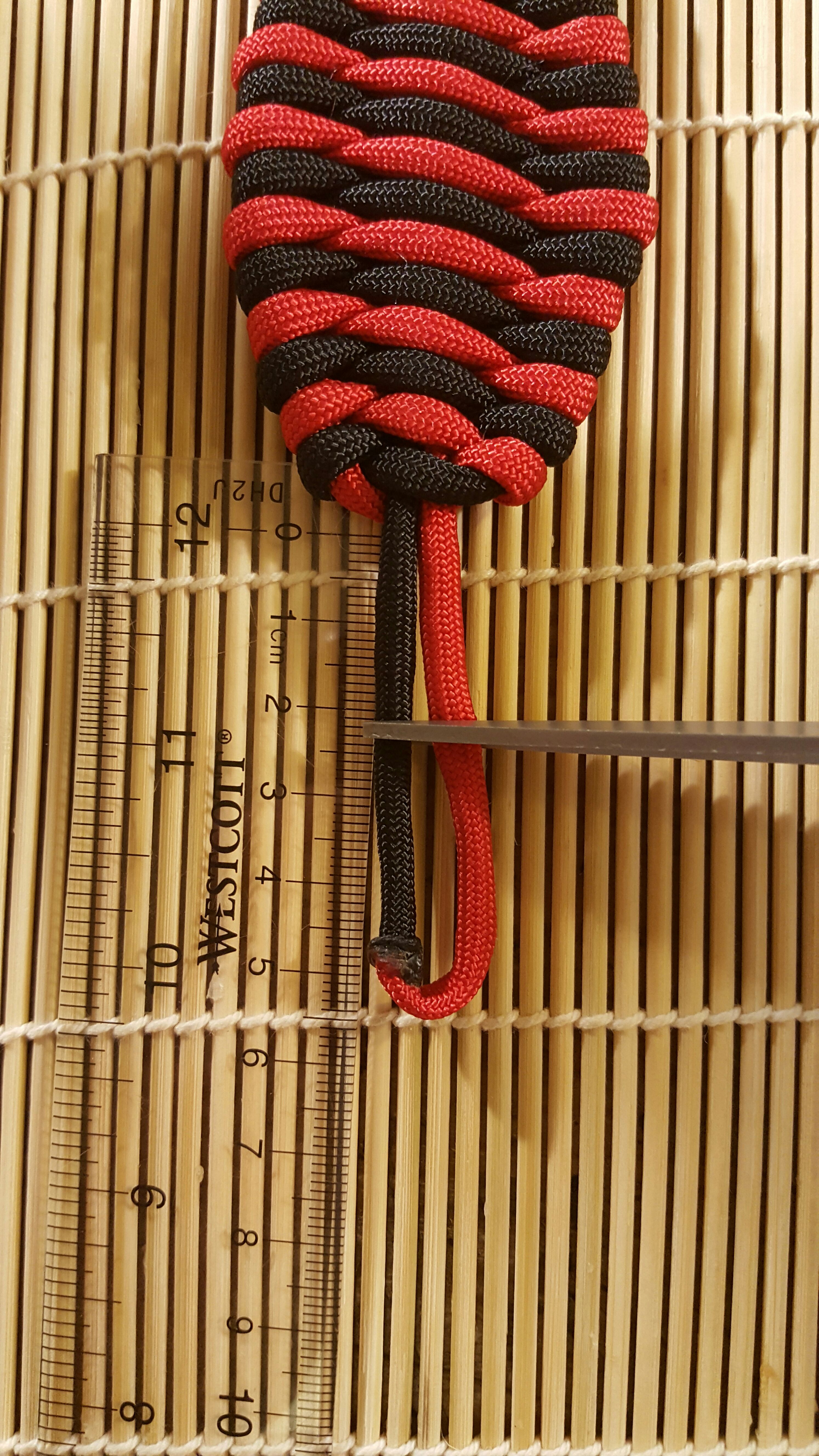 temp_1179786657.jpg