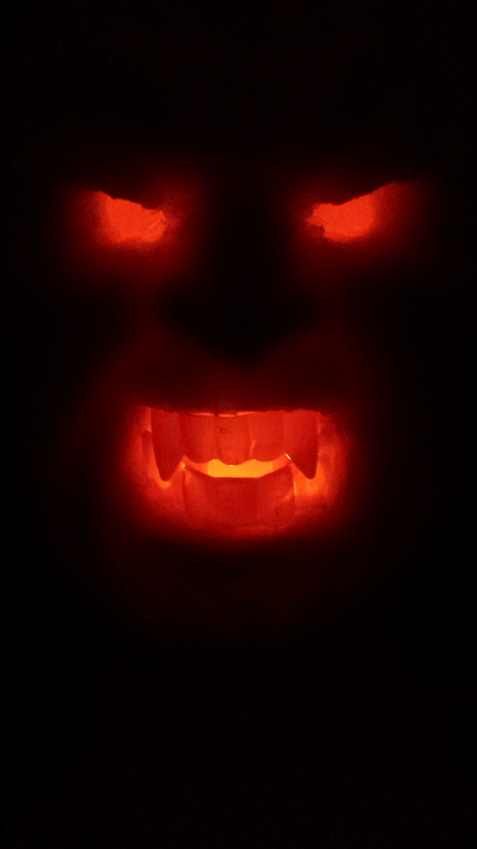 temp_1773307875.jpg