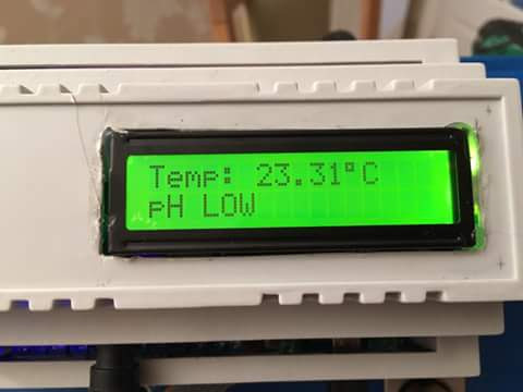 temp_188081743.jpg
