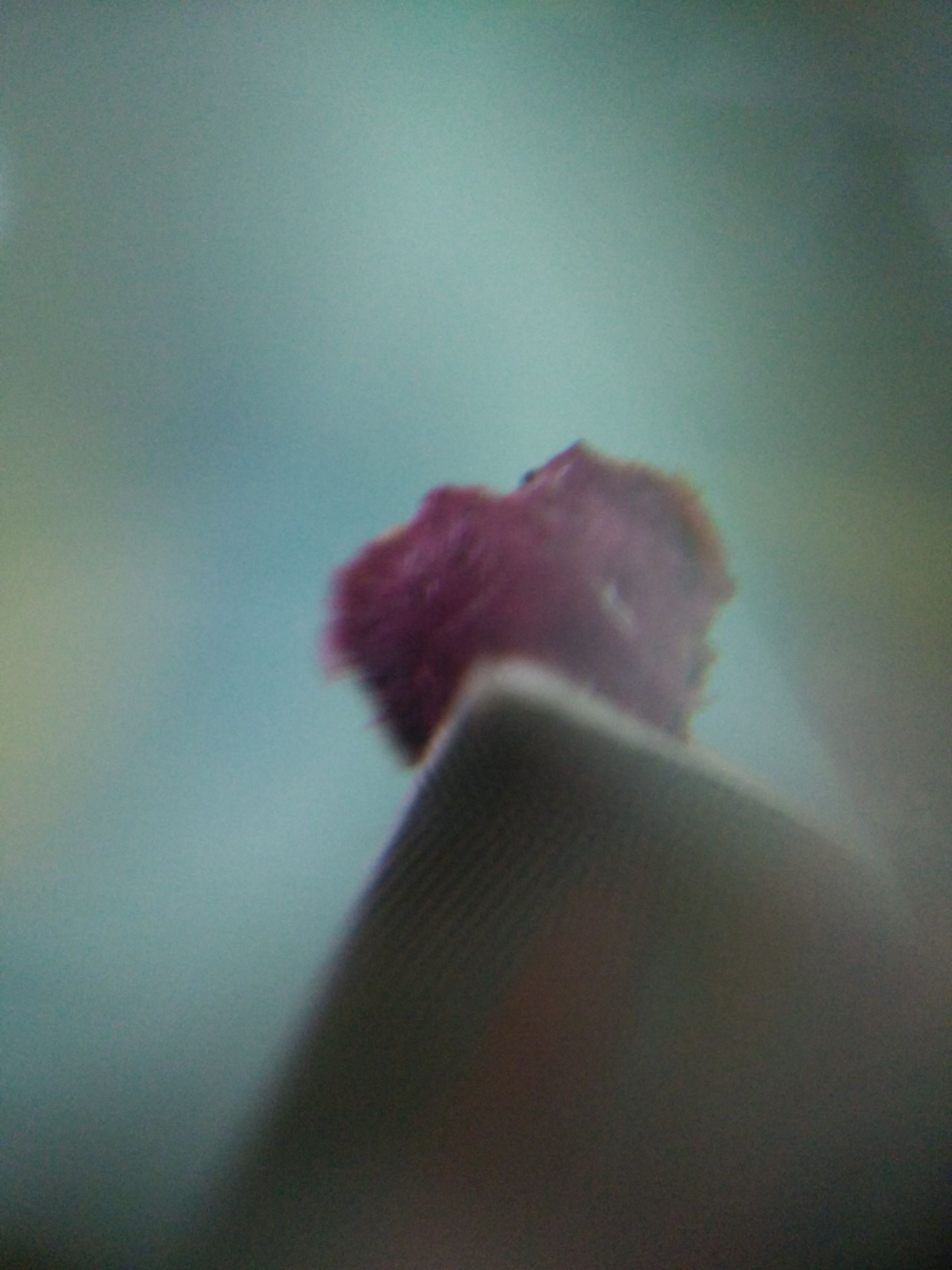temp_607639408.jpg