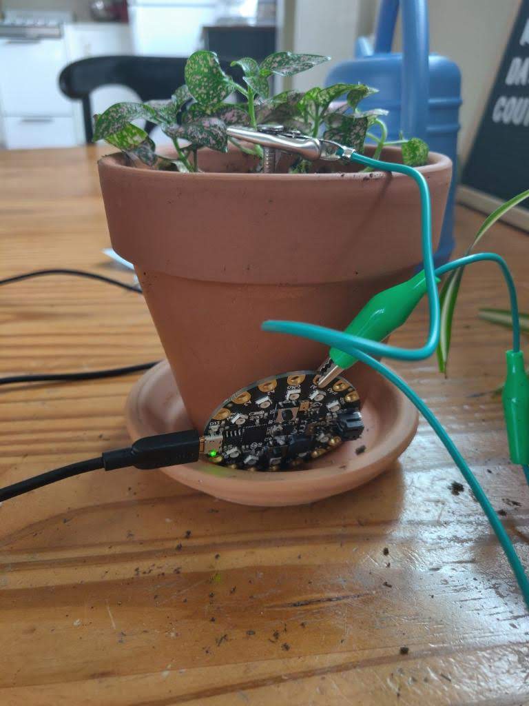test2.jpg