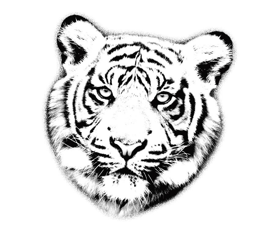 tiger-tattoo-1.jpg