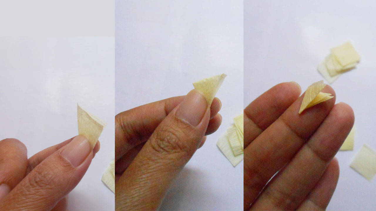 tissue-paper-flowers-tutorial-3.jpg