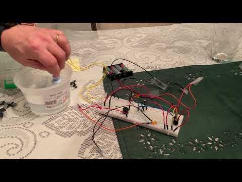 toilet alarm proof of concept