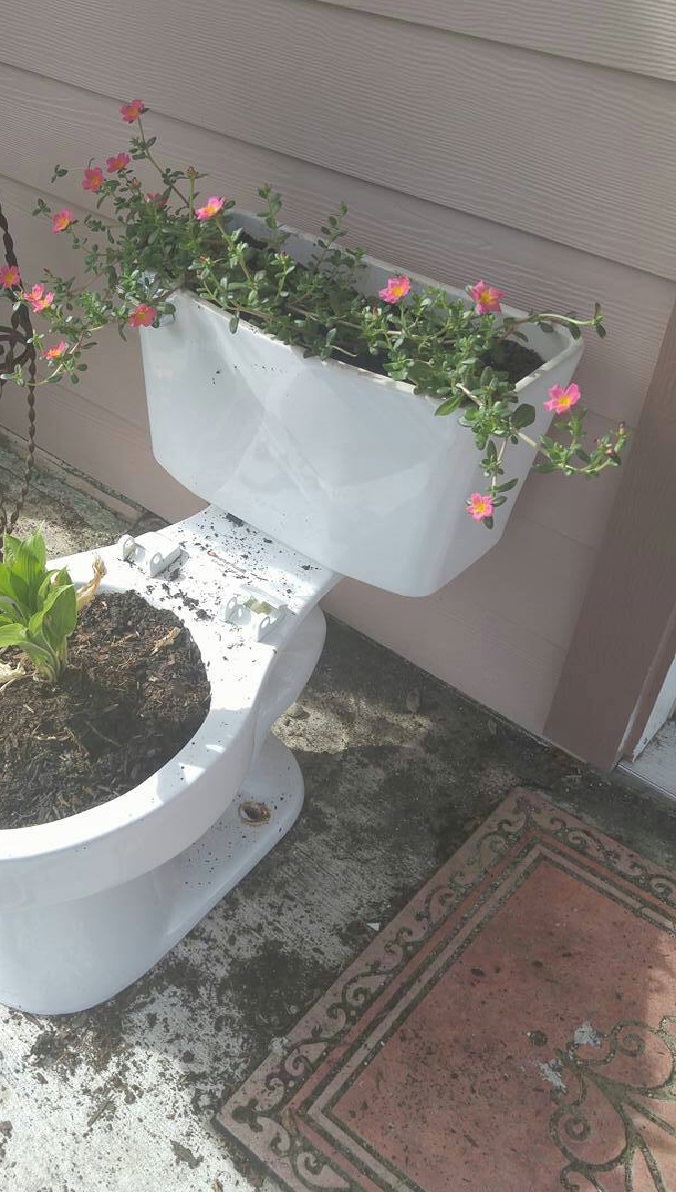 toilet bowl planter.jpg