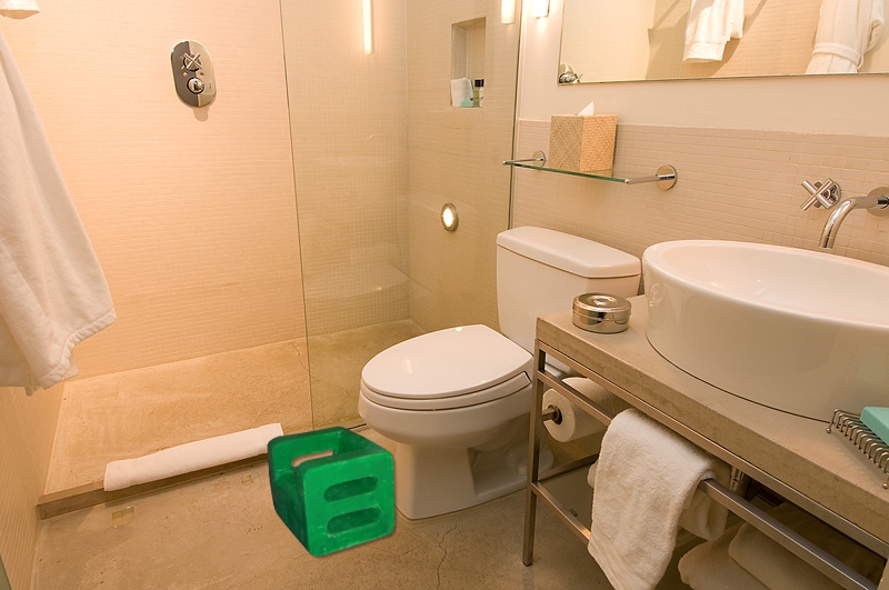 toilet.jpg