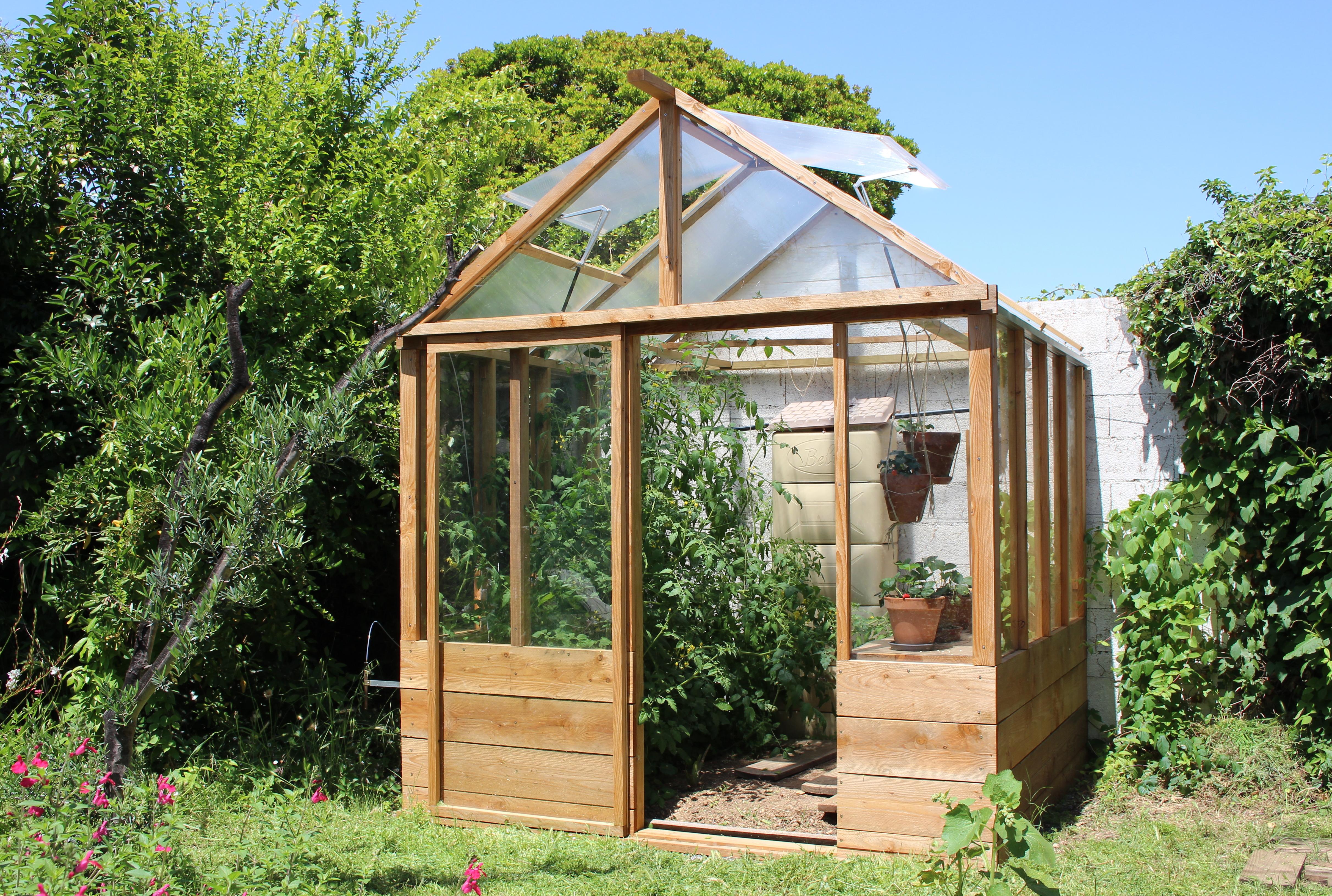 tomato_greenhouse.JPG