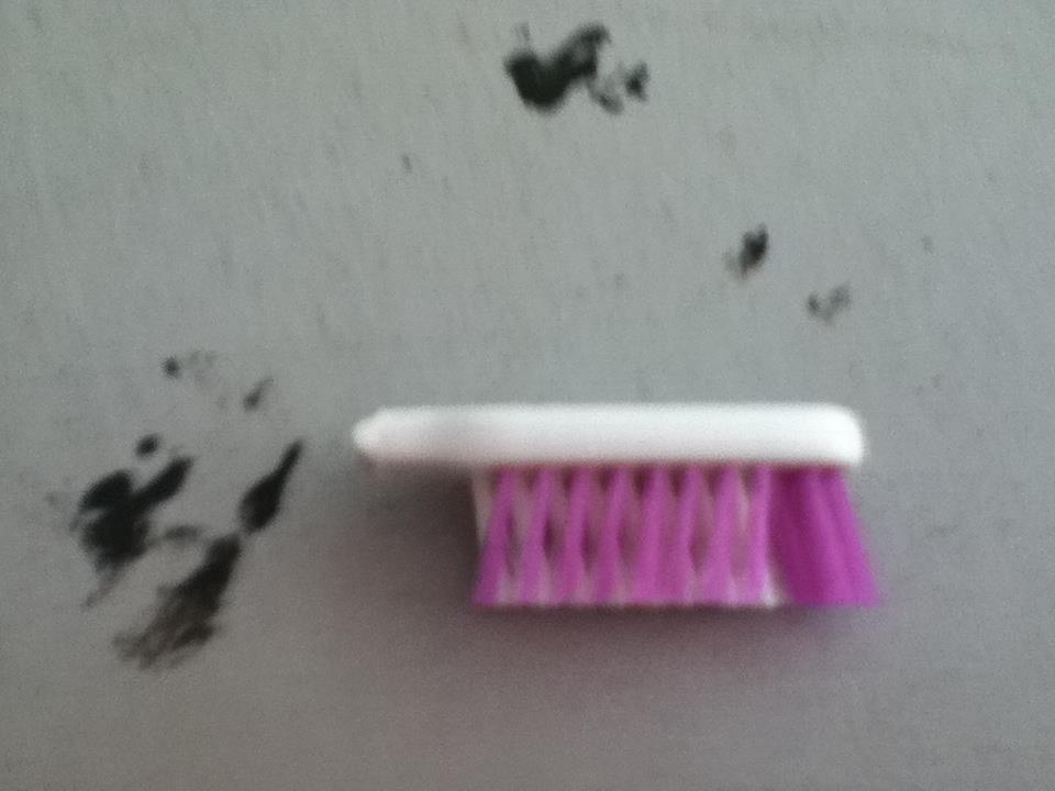 toothbrush head.jpg